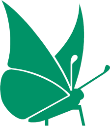 FUMIGACIÓN DE CUCARACHAS